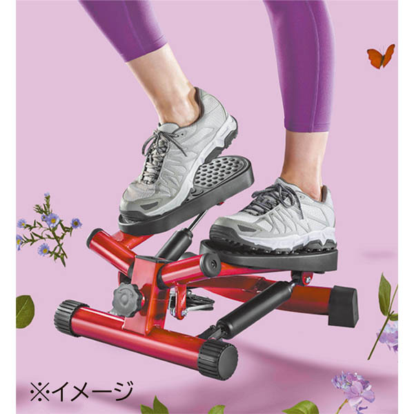ショップジャパン　健康ステッパー　ナイスデイ